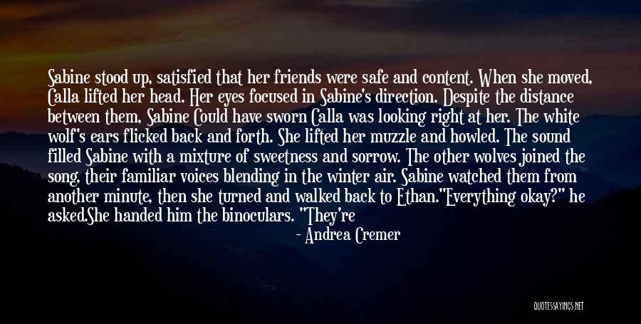 Andrea Cremer Quotes 1812193 Andrea Cremer Quotes 1812193