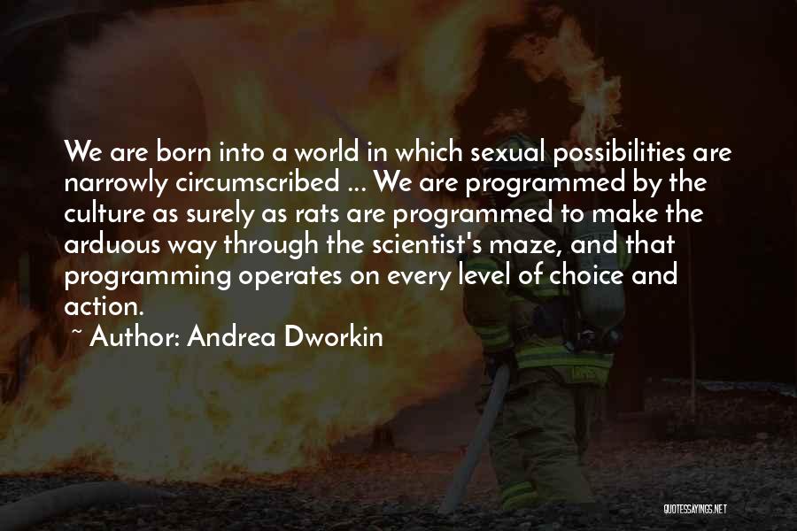 Andrea Dworkin Feminist Quotes By Andrea Dworkin