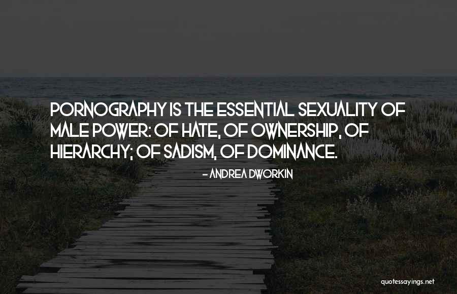 Andrea Dworkin Quotes 1335213