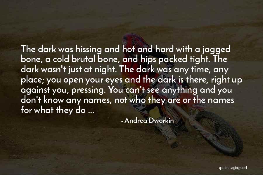 Andrea Dworkin Quotes 1419045 Andrea Dworkin Quotes 1419045