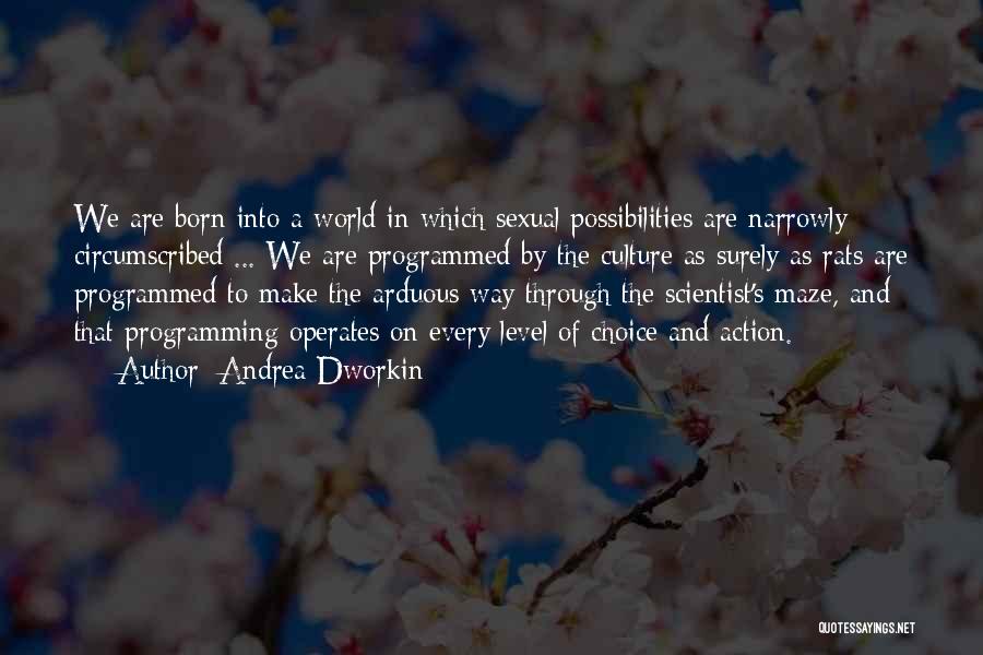 Andrea Dworkin Quotes 430717