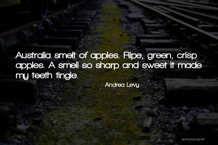 Andrea Levy Quotes 701300