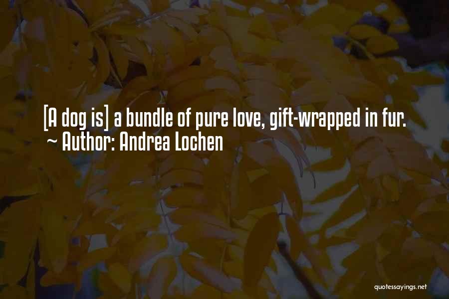 Andrea Lochen Quotes 886902