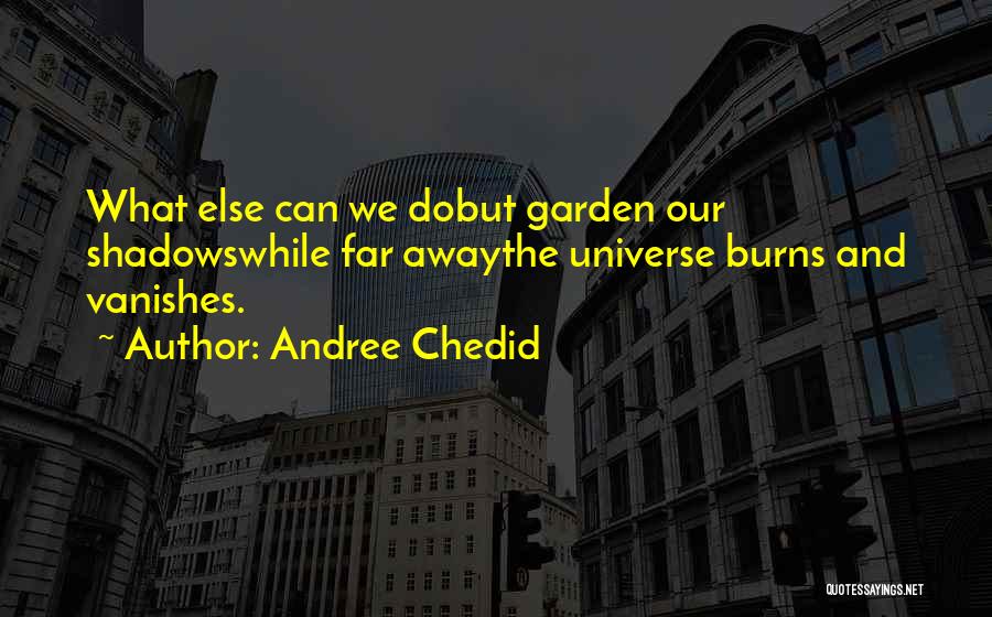 Andree Chedid Quotes 389028