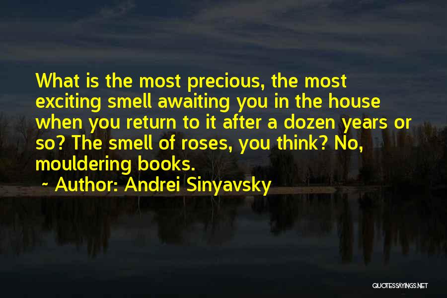 Andrei Sinyavsky Quotes 1454741