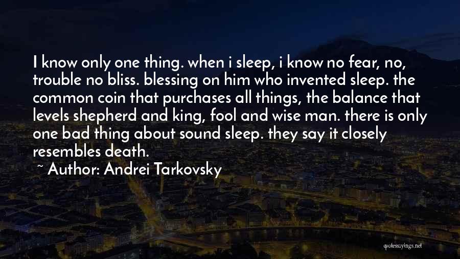 Andrei Tarkovsky Quotes 1128766