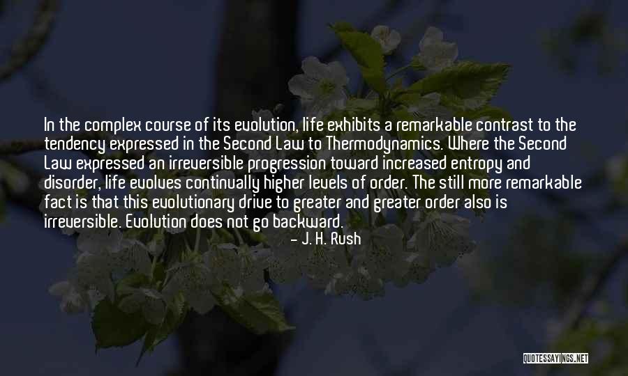 Andreina De Luxe Quotes By J. H. Rush Andreina De Luxe Quotes By J. H. Rush
