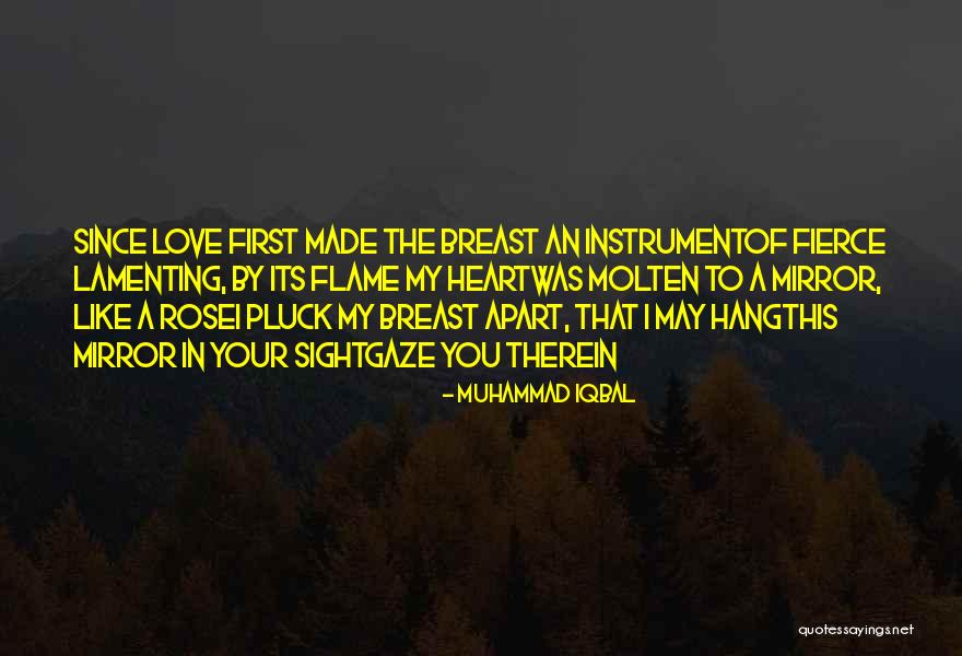 Andrejs Mantenieks Quotes By Muhammad Iqbal Andrejs Mantenieks Quotes By Muhammad Iqbal