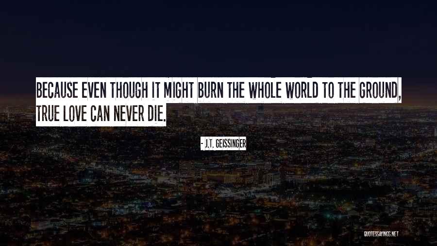 Andrelles Quotes By J.T. Geissinger Andrelles Quotes By J.T. Geissinger