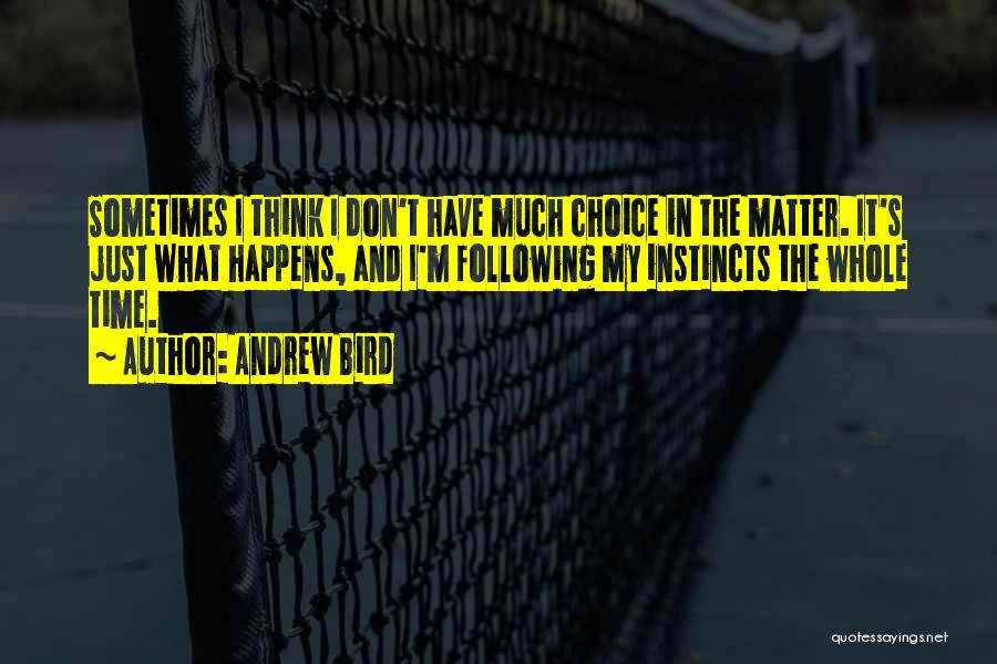 Andrew Bird Quotes 1283330