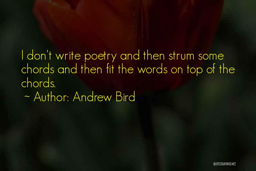 Andrew Bird Quotes 1599998