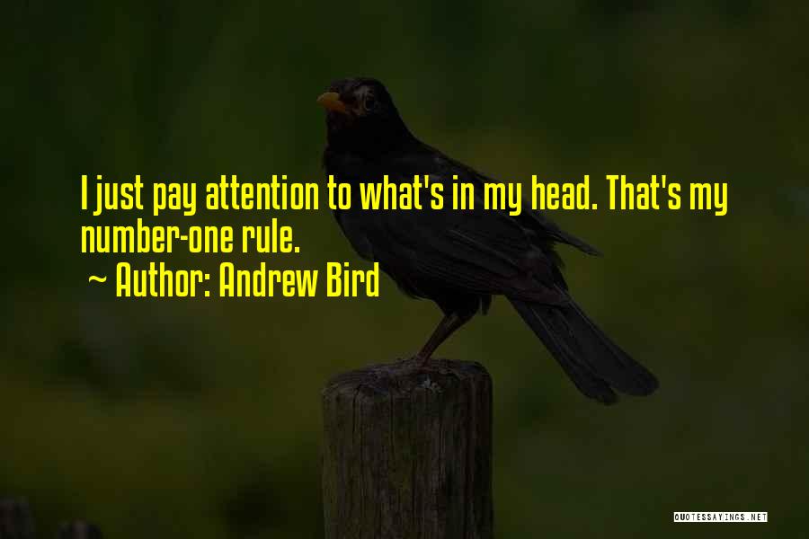 Andrew Bird Quotes 1610122