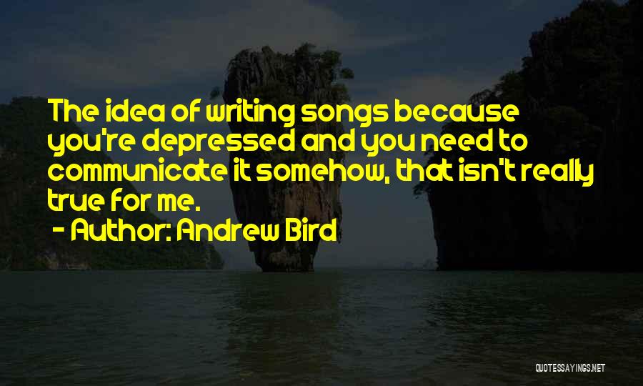 Andrew Bird Quotes 1812094