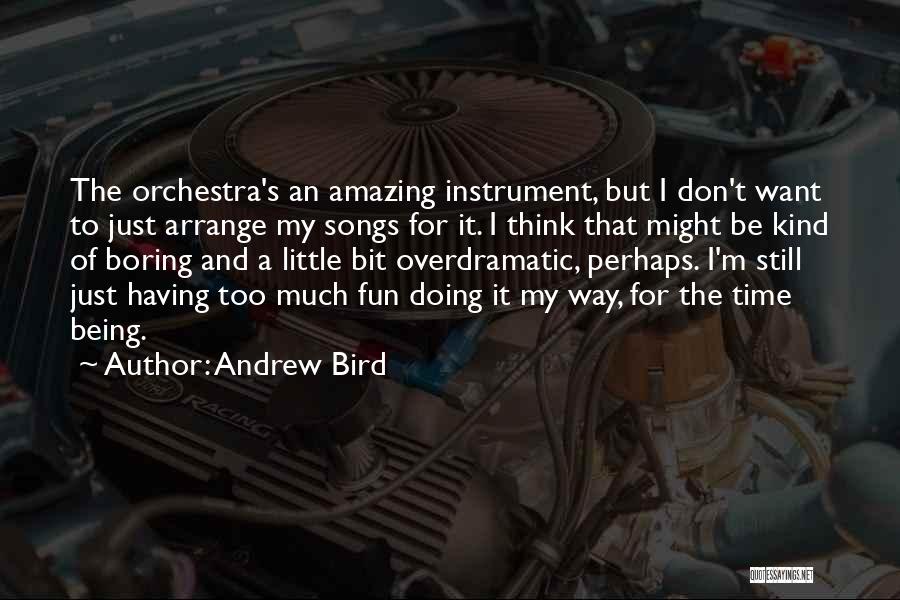 Andrew Bird Quotes 1874203