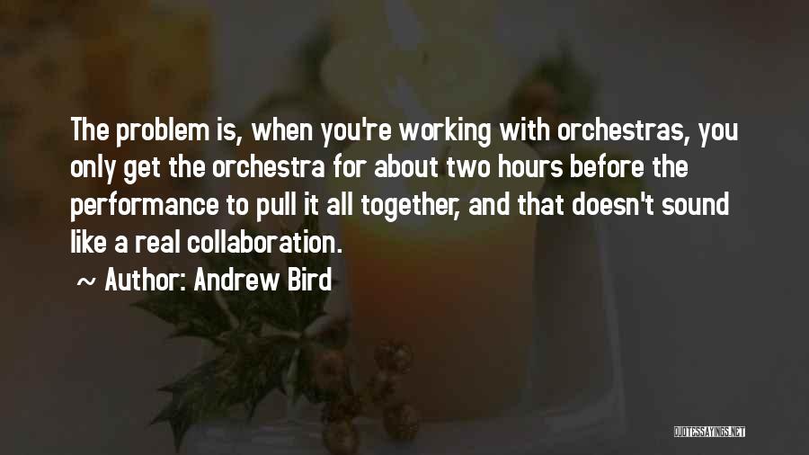 Andrew Bird Quotes 278033