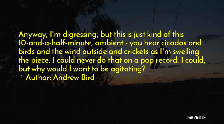 Andrew Bird Quotes 452664