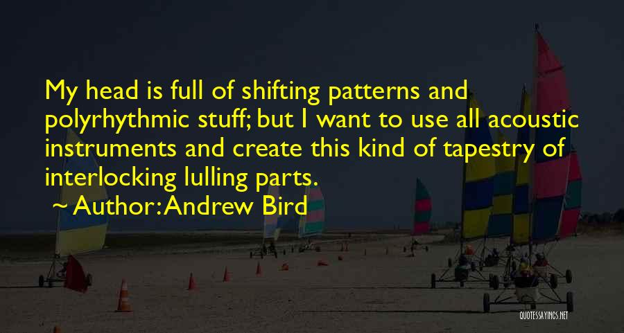 Andrew Bird Quotes 467172