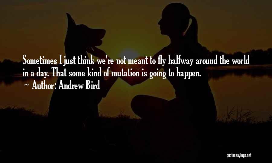Andrew Bird Quotes 572649
