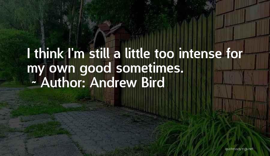 Andrew Bird Quotes 852389