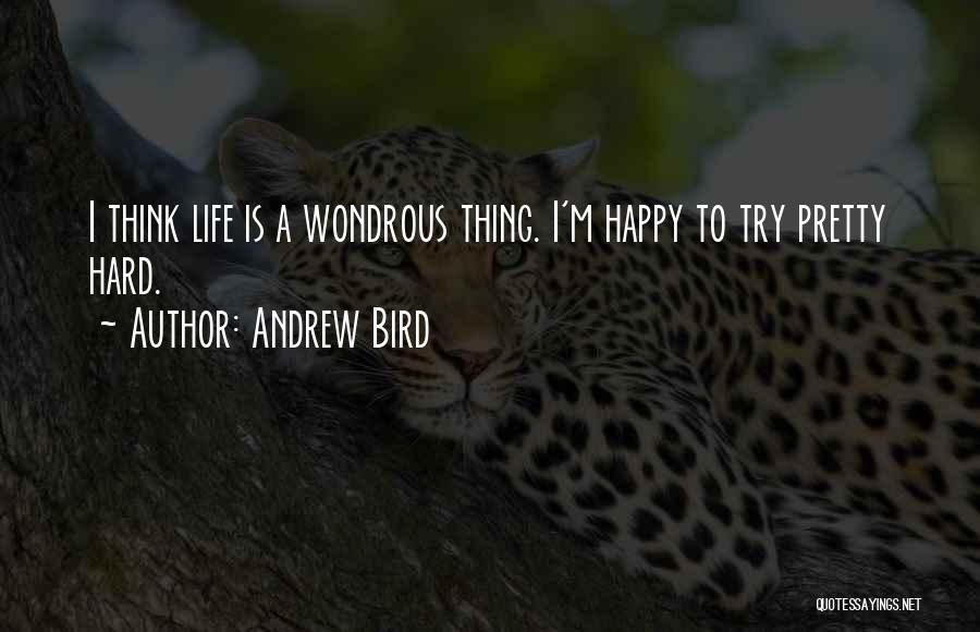 Andrew Bird Quotes 937261