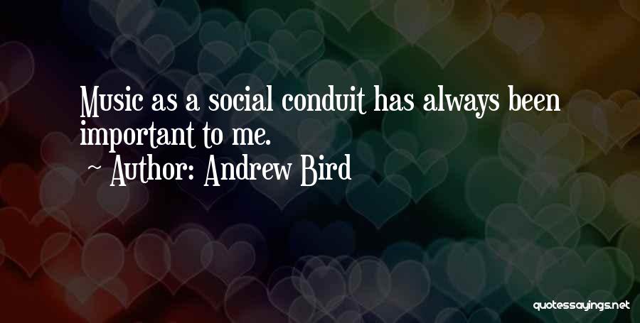 Andrew Bird Quotes 942271