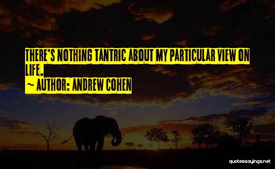 Andrew Cohen Quotes 1733437