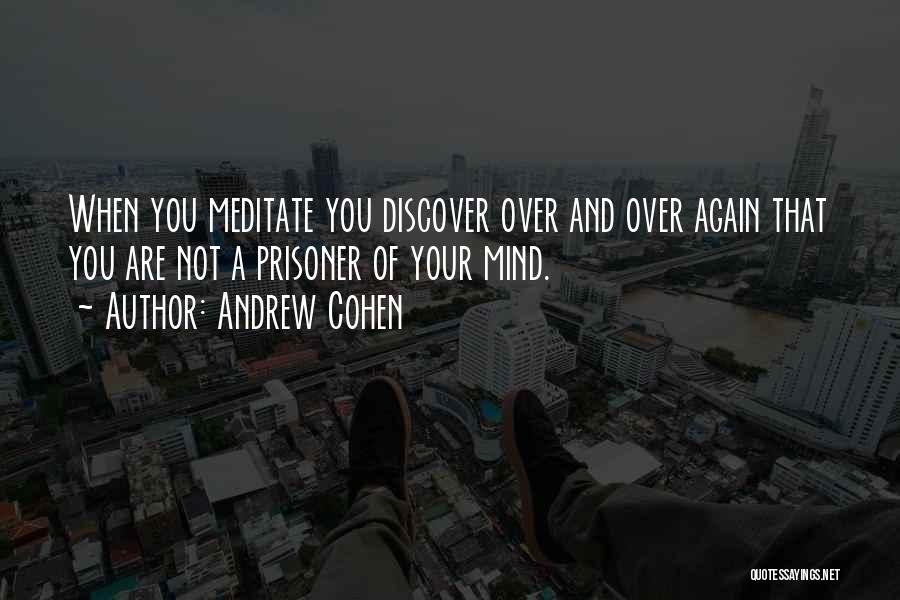 Andrew Cohen Quotes 963104