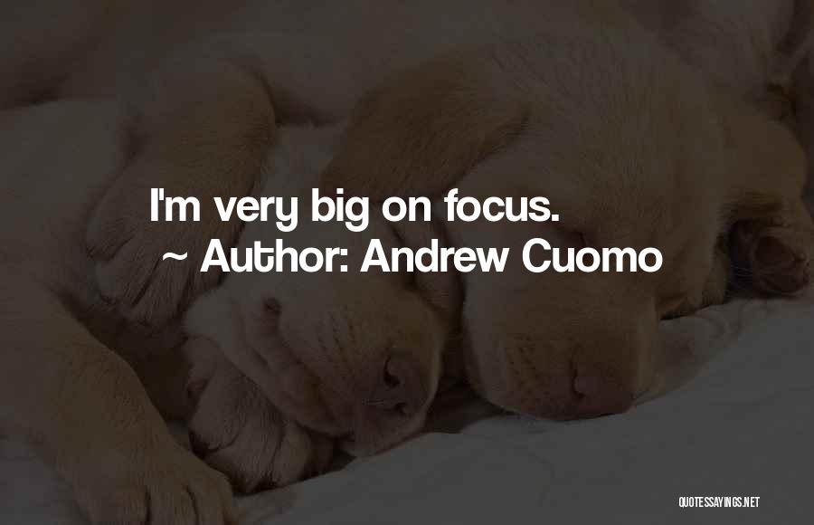 Andrew Cuomo Quotes 235539