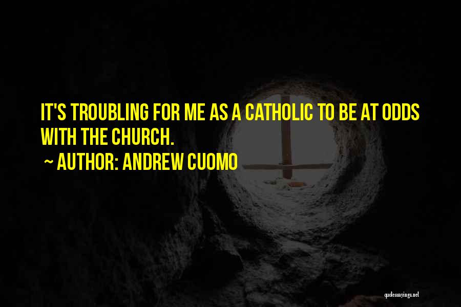 Andrew Cuomo Quotes 341238