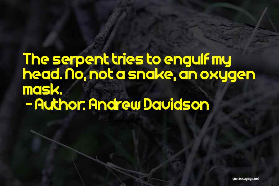 Andrew Davidson Quotes 1341994