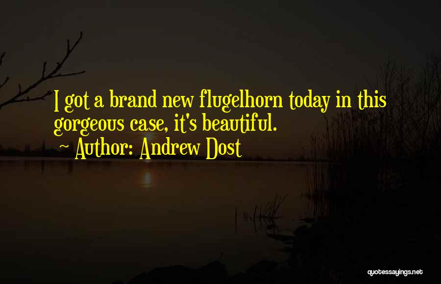 Andrew Dost Quotes 832760