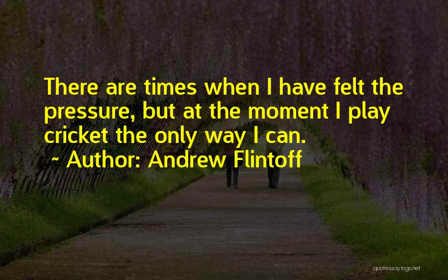 Andrew Flintoff Quotes 1705851