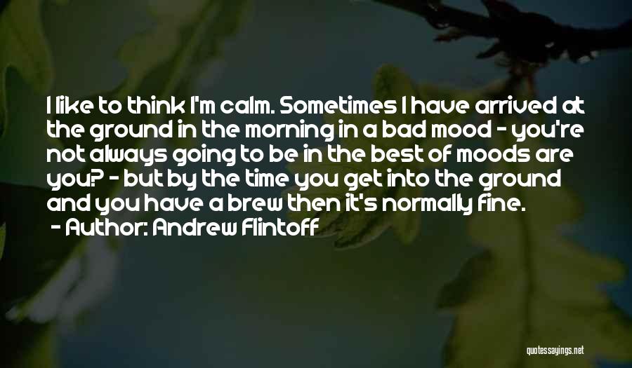 Andrew Flintoff Quotes 713606