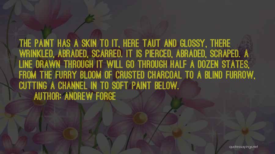 Andrew Forge Quotes 1830191