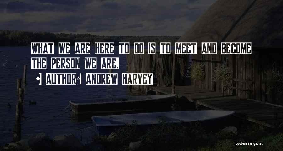 Andrew Harvey Quotes 1484349