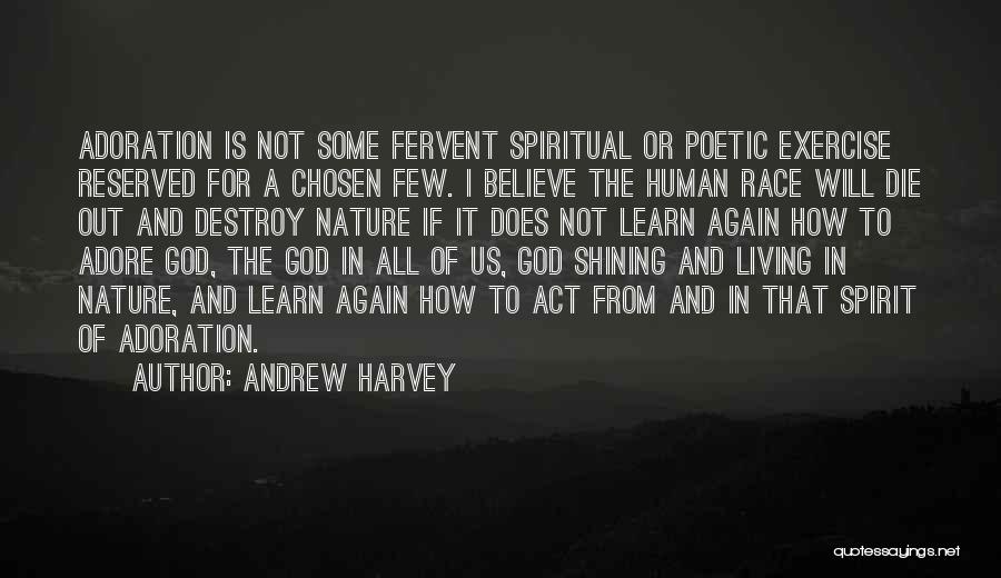 Andrew Harvey Quotes 163635