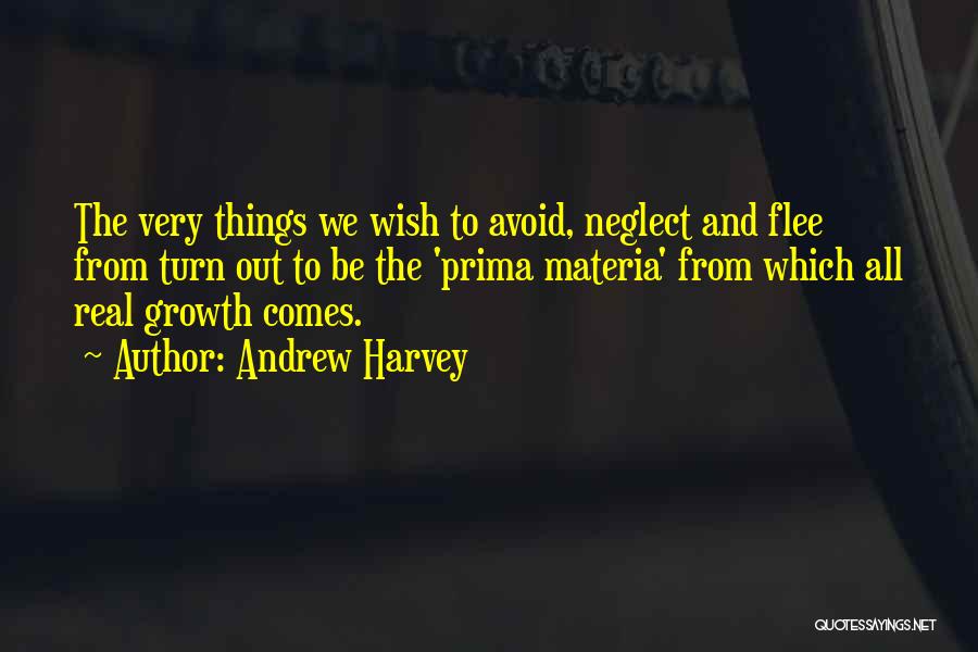 Andrew Harvey Quotes 175034