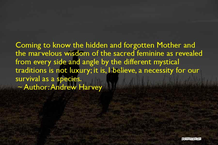 Andrew Harvey Quotes 2011610