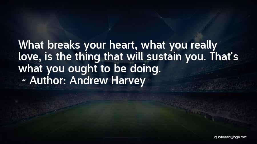 Andrew Harvey Quotes 677503