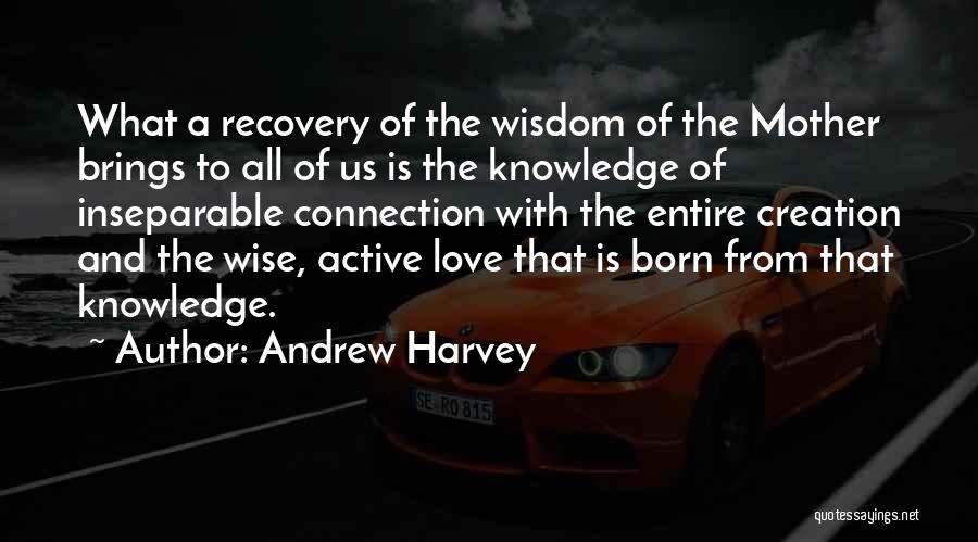 Andrew Harvey Quotes 80829