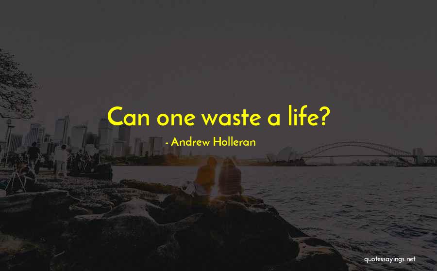 Andrew Holleran Quotes 252720