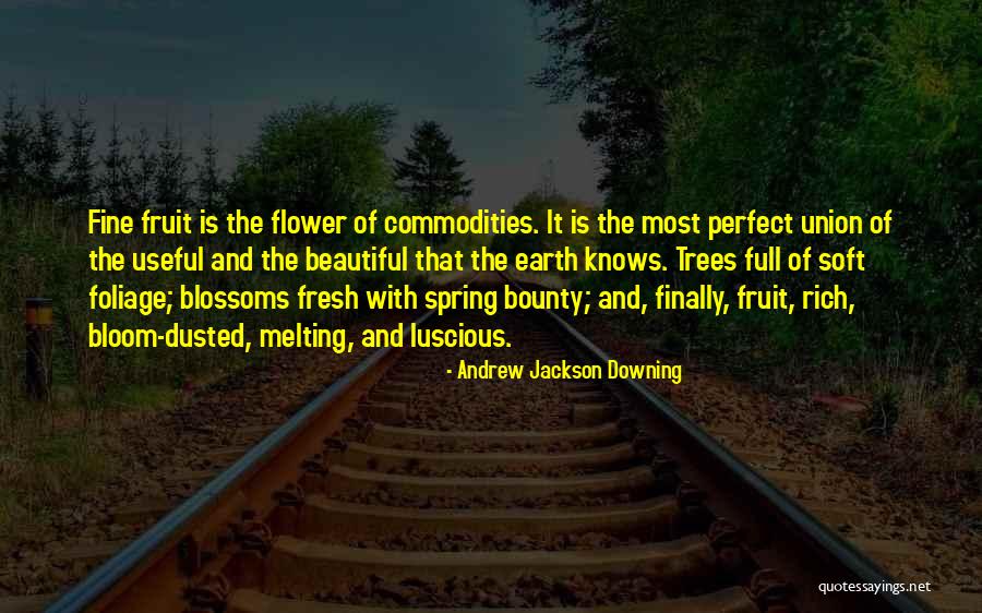 Andrew Jackson Downing Quotes 979600 Andrew Jackson Downing Quotes 979600