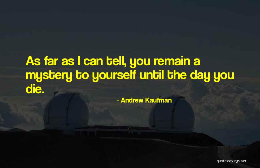 Andrew Kaufman Quotes 1399656