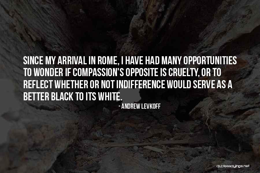 Andrew Levkoff Quotes 1636030