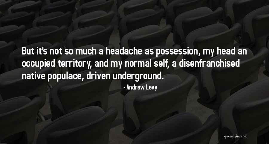 Andrew Levy Quotes 2176247