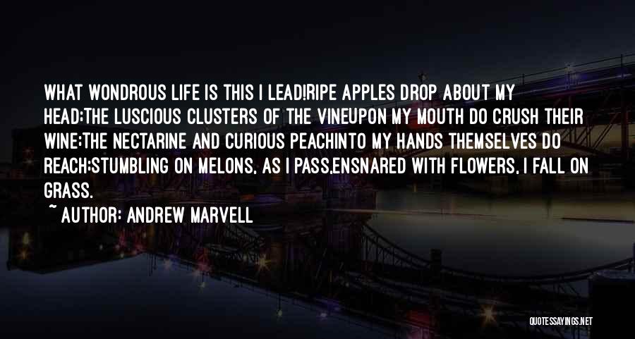 Andrew Marvell Quotes 1071245