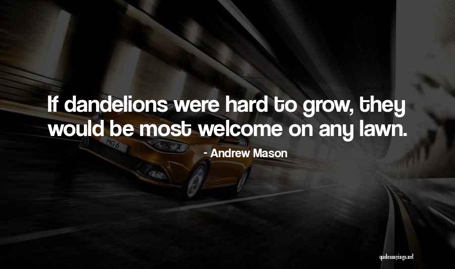 Andrew Mason Quotes 554352