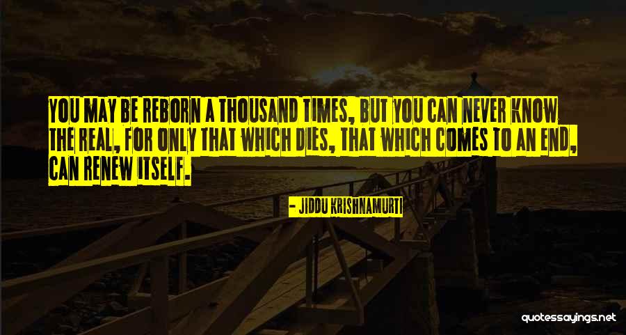 Andrew Mccabe Quotes By Jiddu Krishnamurti Andrew Mccabe Quotes By Jiddu Krishnamurti