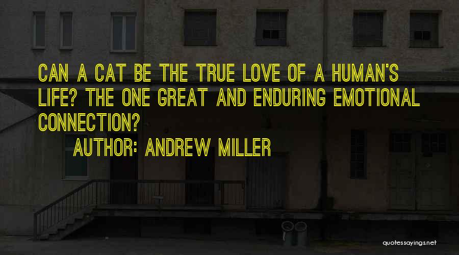 Andrew Miller Quotes 297864