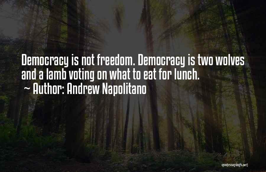Andrew Napolitano Quotes 1123793